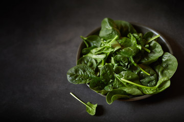 Plate of healthy fresh baby spinach leaves