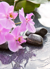 Obraz na płótnie Canvas Spa stones and pink orchid on gray background.