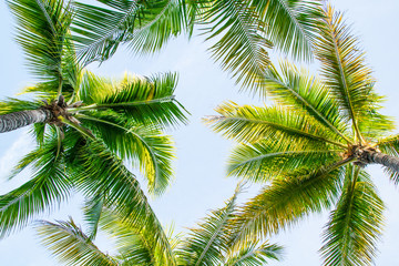 Fototapeta premium Beautiful Cuba during Sunset 