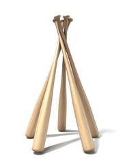Baseball Bat Circle