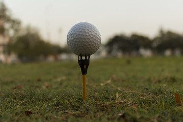 Close up Golf ball on tee
