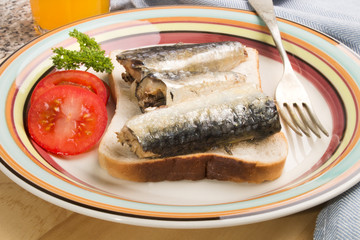 sardines in oil on a slice of toast bread