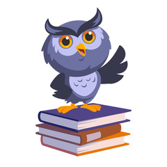 Nice owl, he is up to a few books