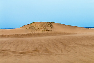 Heavy Wind  Blowing Sand on Beach Against Coastal Skyline