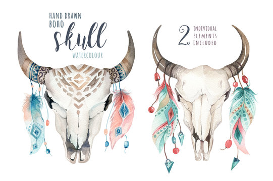 Watercolor bohemian cow skull and feather. Western mammals. Boho hipster deer boho decoration print antlers.