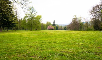 Grünfläche im Park, Schieder