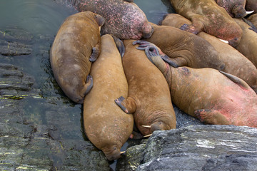 sleeping on sand big bodies