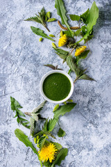 Spring green nettle and dandelion smoothie bowl served with yellow flowers, young birch leaves, spruce needles over gray blue texture background. Top view, space