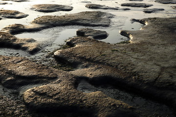 Nationalpark,Wattenmeer,Niedersachsen