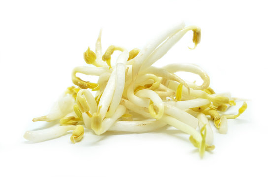 Pile Of Bean Sprouts