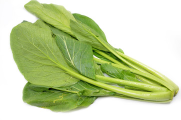 Choy sum vegetable