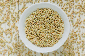 Green buckwheat sprouts. Light background