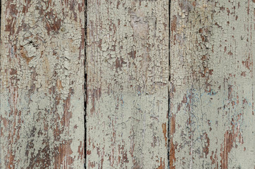 Green wooden texture. Wooden old background panel.