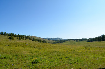 Fototapeta na wymiar Mountain valley with trees.