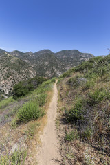 Fototapeta na wymiar Hiking trail leading towards Arroyo Seco and Bear Canyon in the San Gabriel Mountains of Los Angeles County, California. 