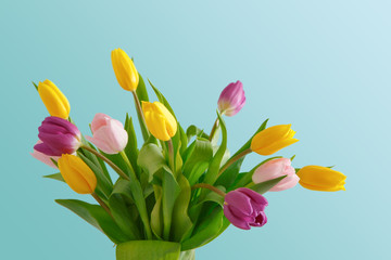 Obraz premium Bright tulips bouquet on blue background