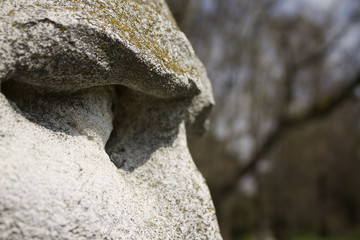 natura e arte