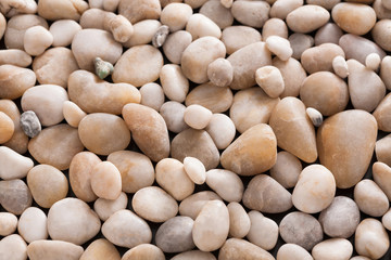 Sea pebbles background, natural seashore stones