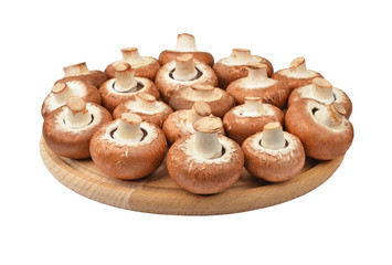 Champignon (True mushroom) on wooden board