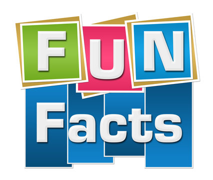 Fun Facts Colorful Squares Stripes 