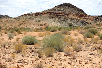 Pustynia Kalahari w rejonie parku narodowego Augrabies