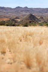 Pustynia Kalahari w rejonie parku narodowego Augrabies