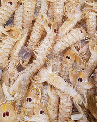 Mantis shrimps on the market