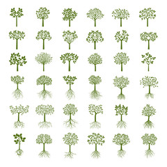 Collection of Green Trees. Vector Illustration.