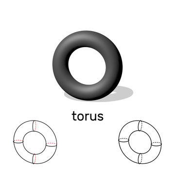 Torus. Geometric shape. Isolated on white background. Vector illustration.