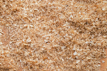 Background made from natural sawdust. Hardwood sawdust. Hardwood chips.