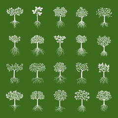 Set of white trees on green background. Vector Illustration.