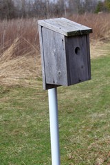 A close up view on a birdhouse on a pole.