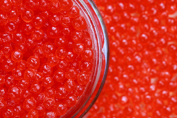 the red caviar