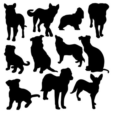 Black silhouettes of dogs on a white background