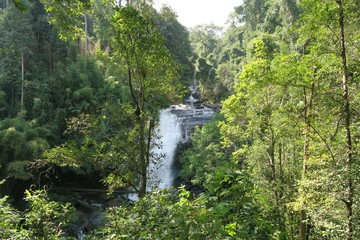 view on a beautiful waterfall in the forest