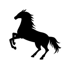 Vector horse silhouette. Black horse profile