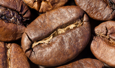 Coffee beans macro.