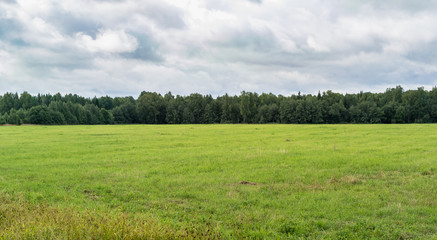 Green field under cloudy sky in overcast day