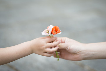 小さな花を手渡す親子