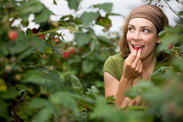 Woman eating raspberries from plant