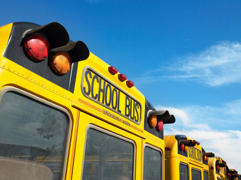 School buses in line