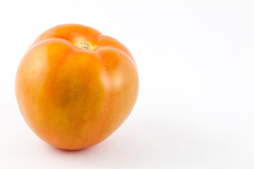 Tomato ( Lycopersicon esculentum) isolated in white background