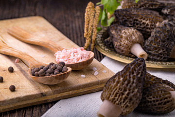 Fresh morchella conica, seasonal mushrooms