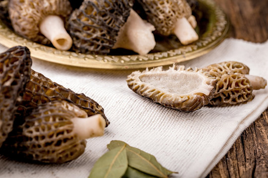 Fresh morchella conica, seasonal mushrooms