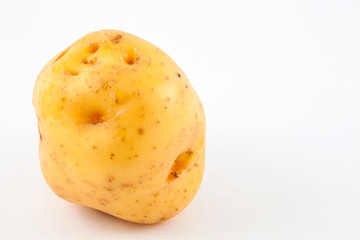 Yellow potato (Solanum phureja) isolated in white background