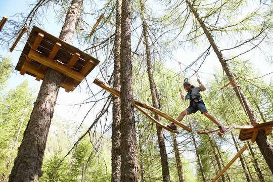 Person doing treetop obstacle course