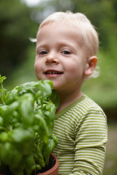Toddler boy carrying potted plant