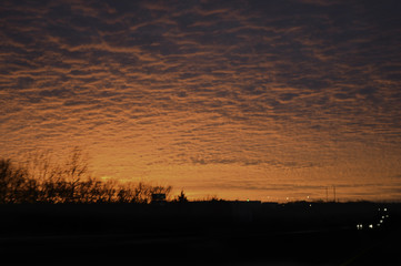 Sunset silhouette in orange black with headroom