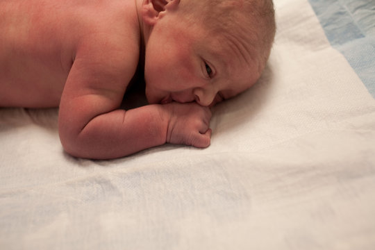 Newborn baby boy lying on his front