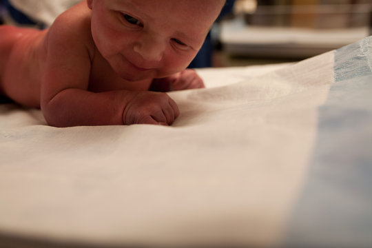 Newborn baby boy lying on his front
